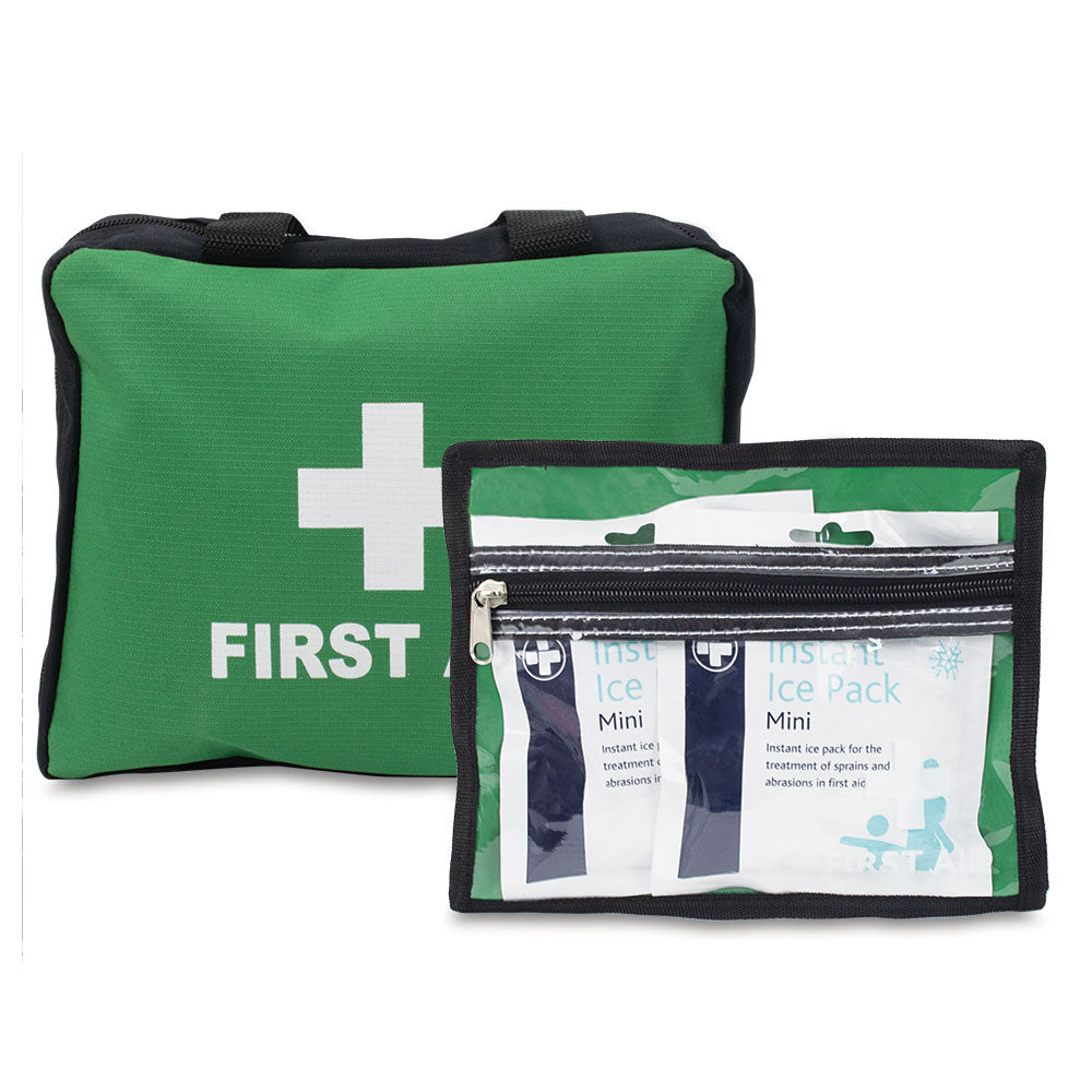 Lewis-Plast Premium All Purpose 309 Piece First Aid Kit